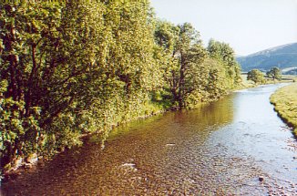 River Tweed (Upper) near Drumelzier