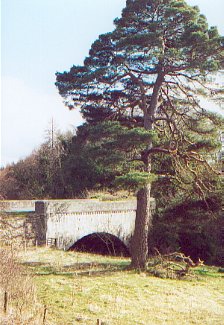 Bridge over River Yarrow at the entrance to Bowhill