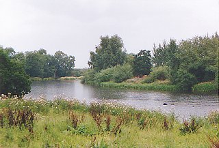 River Teviot near Roxburgh