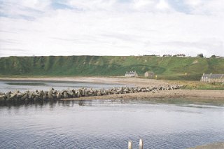 Dunbeath Bay and Harbour