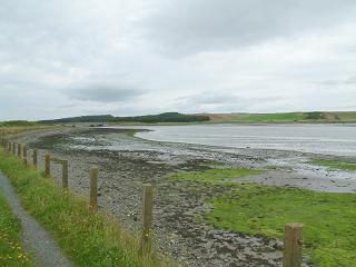 Ythan Estuary