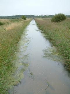 Spynie Canal