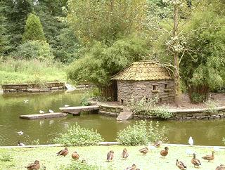 Duck Pond, Camperdown Park, Dundee