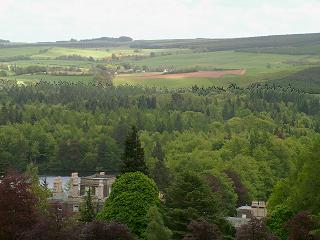 View over Bowhill to the Ettrick Forest
