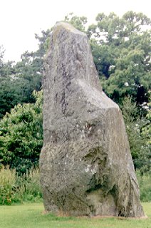 Macbeth's Stone nr.Braeswick Meigle